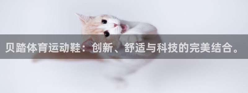 意昂4代理