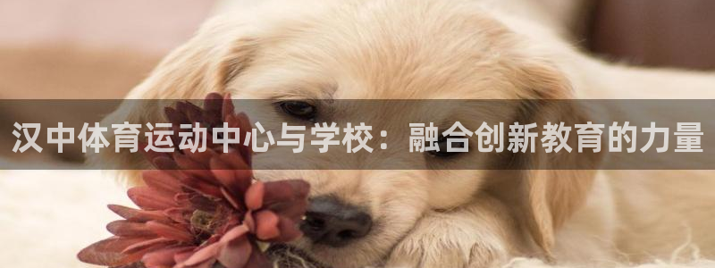 意昂体育2