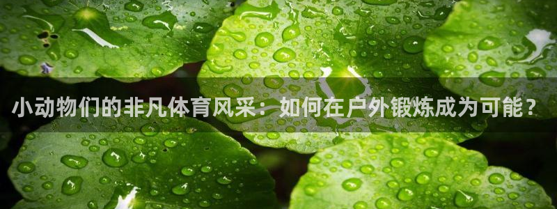 意昂体育官网