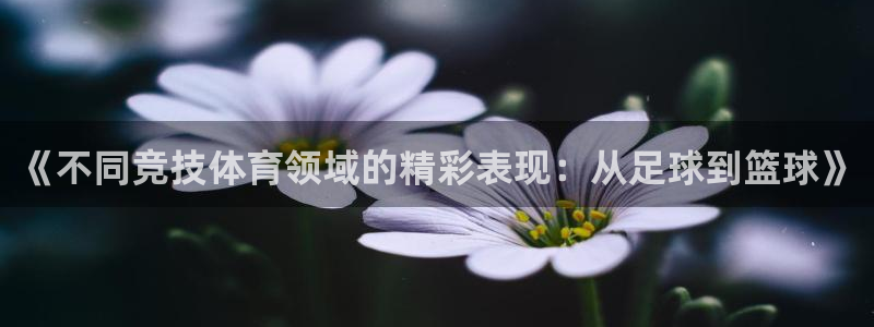 意昂2注册