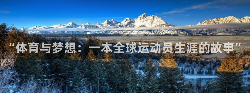 意昂体育合法嘛