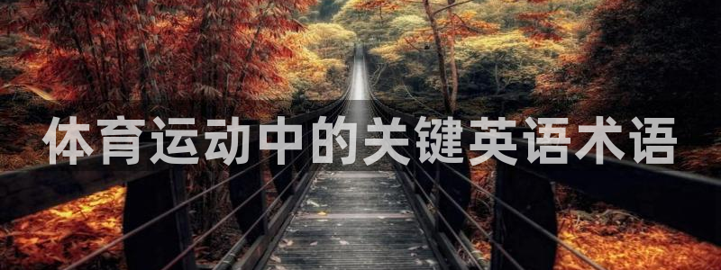 意昂5招商