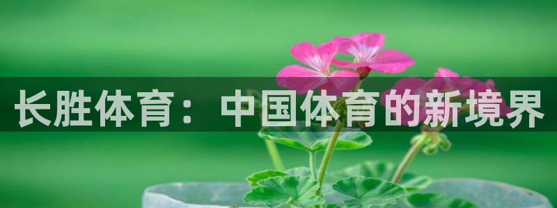 意昂4