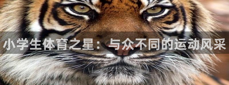 意昂体育老板是谁