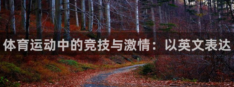 意昂2代理注册