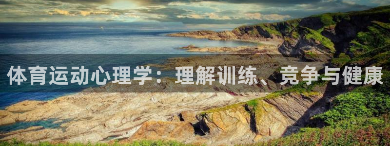 意昂体育网页版入口