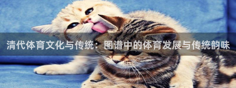 意昂4注册
