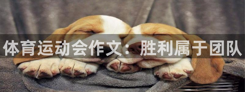 意昂体育代理申请流程