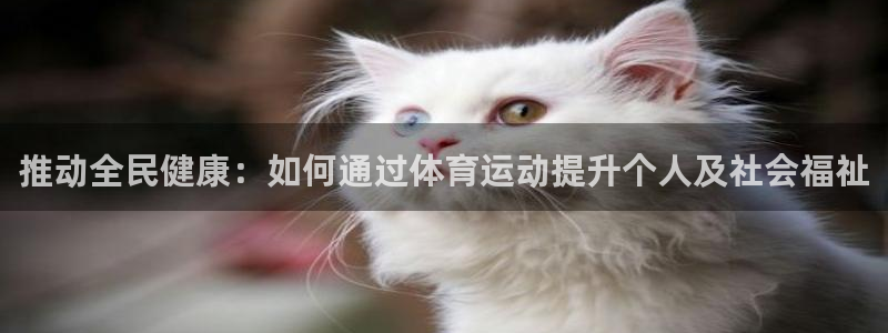 意昂体育f开户