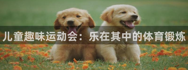 意昂体育在线注册
